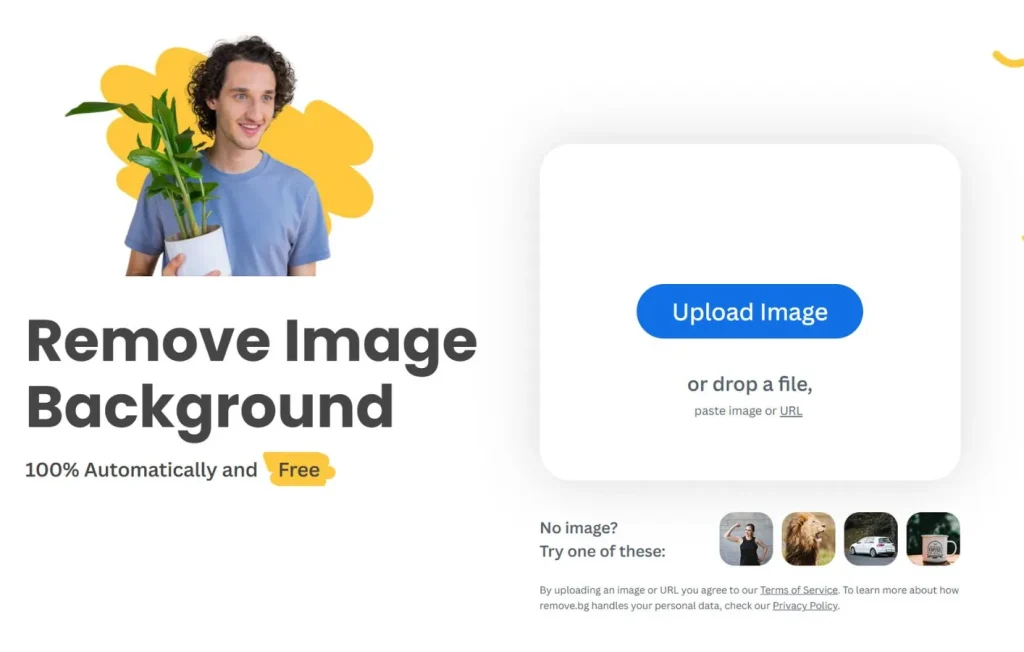 remove bg remove bg